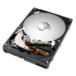 Western Digital WD800JD